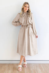 Ruched Knotted Long Sleeve Satin Midi Dresses