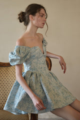Floral Print Irregular Neck Puff Sleeve A-Line Mini Dresses-Blue