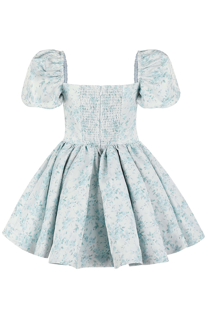 Floral Print Irregular Neck Puff Sleeve A-Line Mini Dresses-Blue