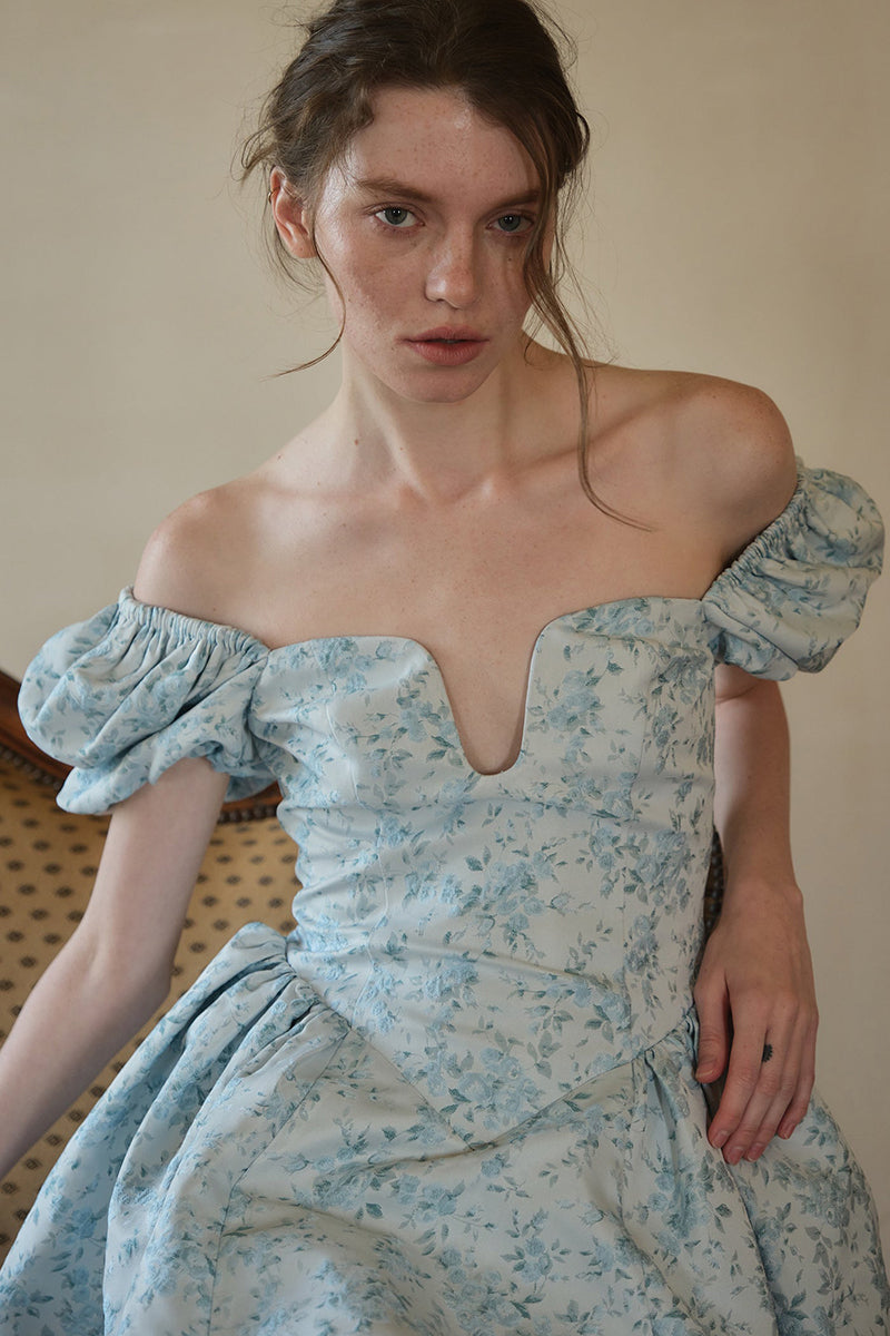 Floral Print Irregular Neck Puff Sleeve A-Line Mini Dresses-Blue